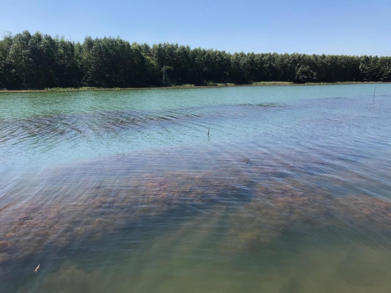 Chi-Bu Riverside Nhon Trach المظهر الخارجي الصورة